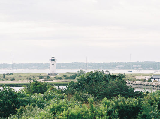 Beyond the Harbor