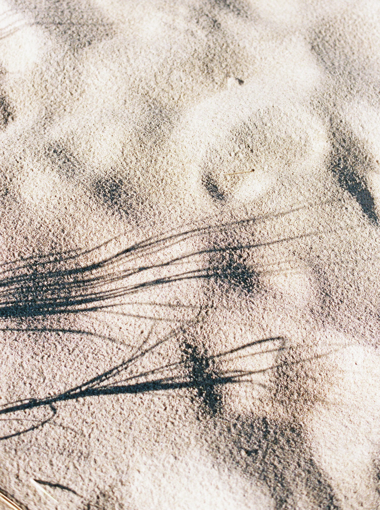 Etched in Sand