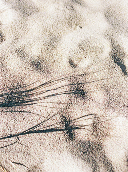 Etched in Sand