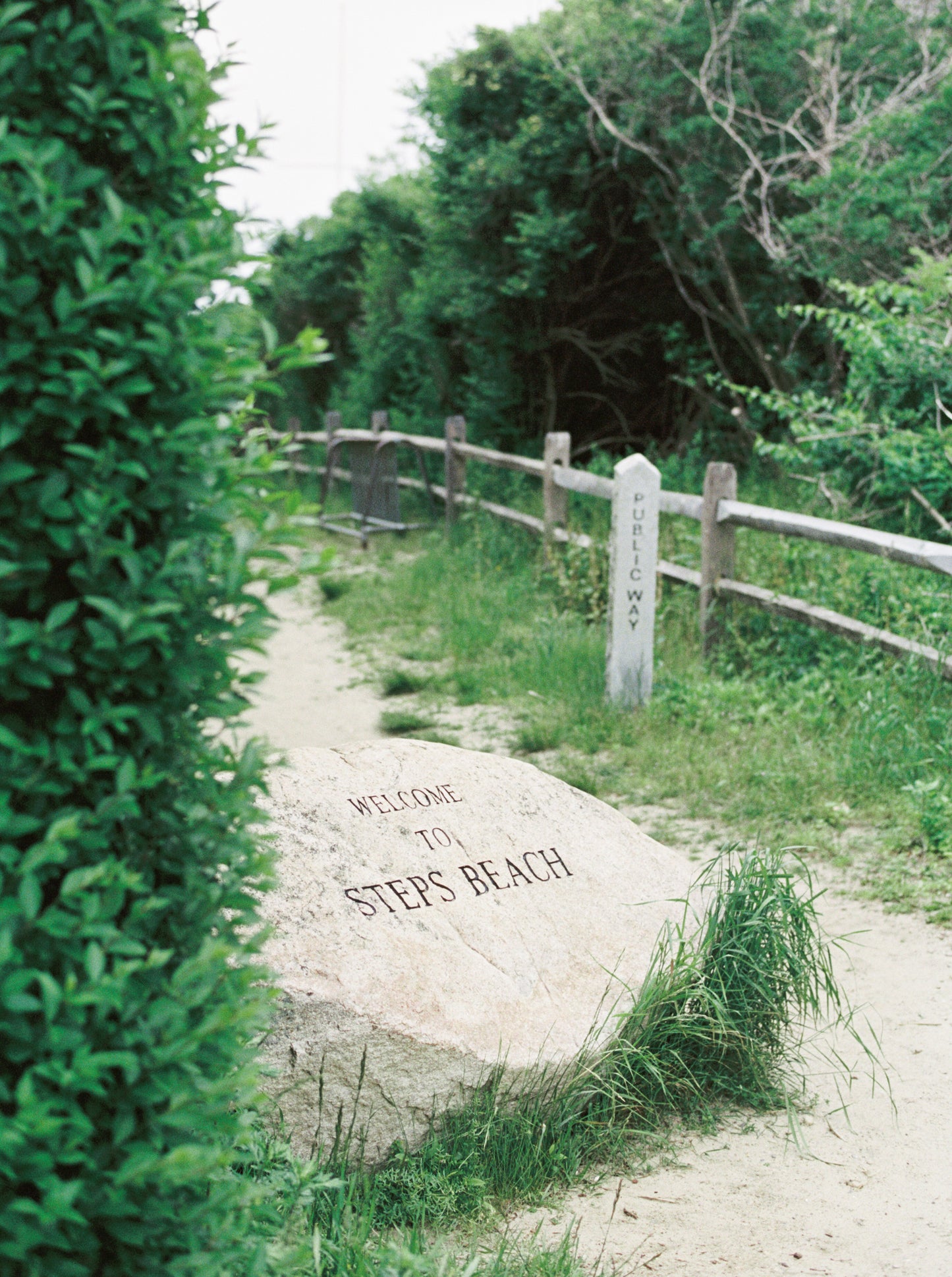 Steps Beach