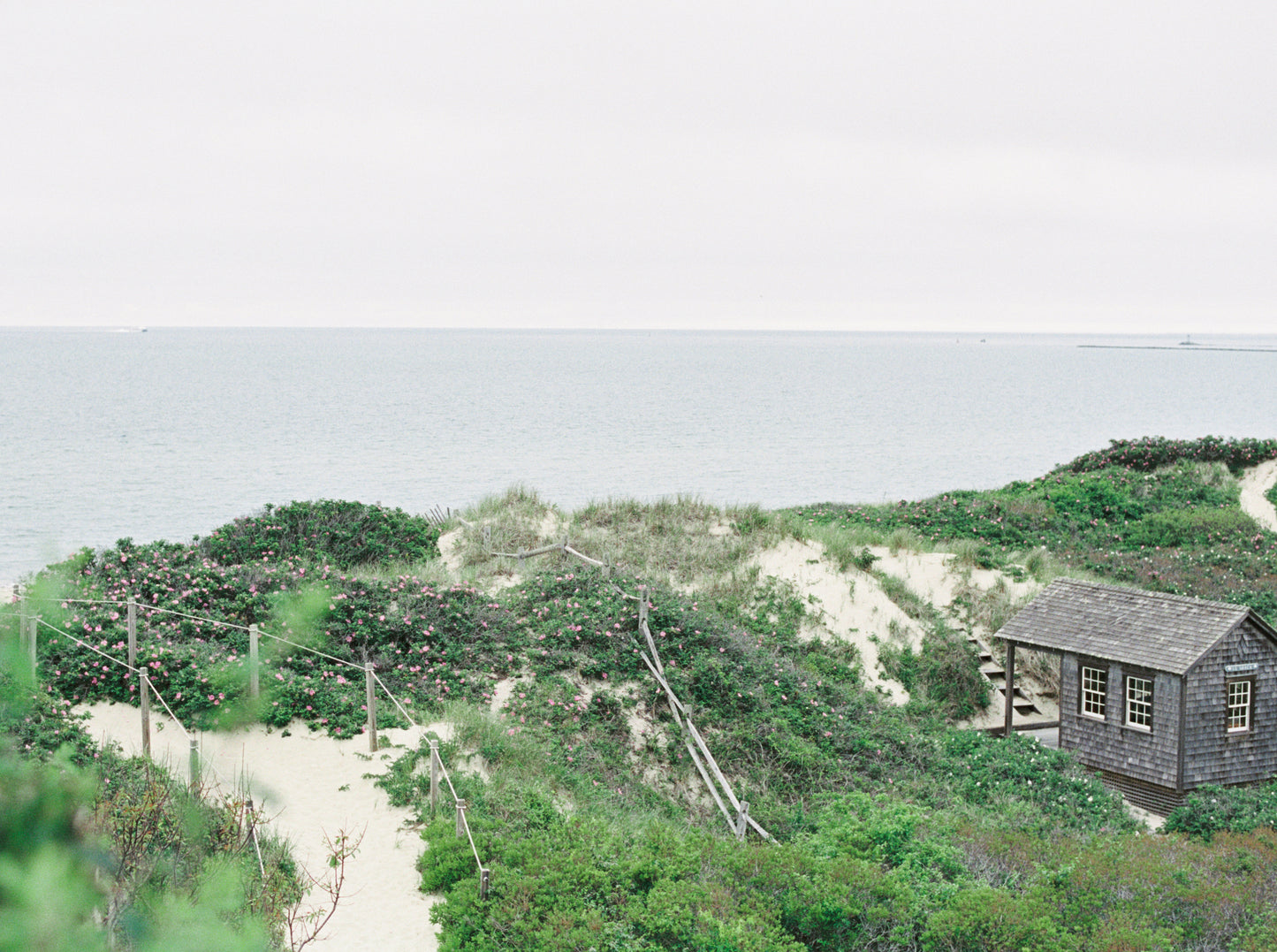 Coastal Layers