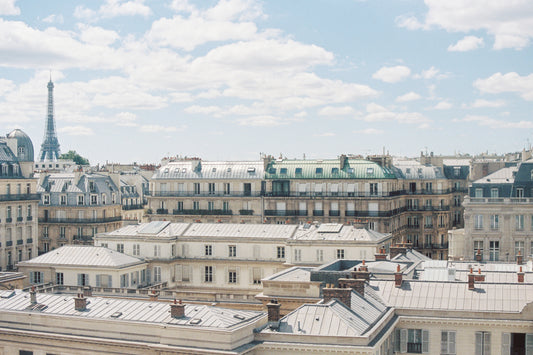 A View Across Paris